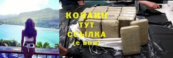 стафф Вязьма