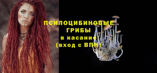 Альфа ПВП Богородицк