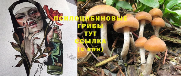 спайс Богородск