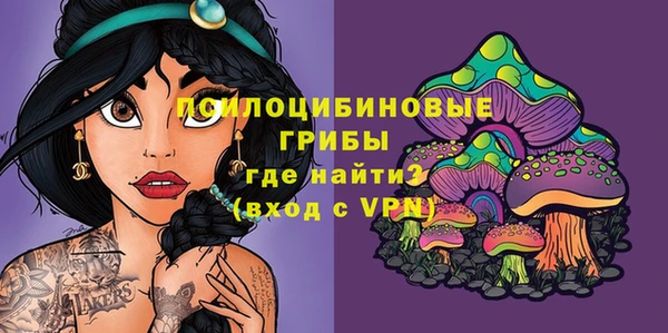 тгк Богданович