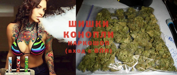 тгк Богданович