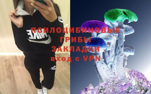 амф Белокуриха