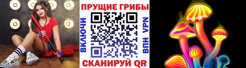 Галлюциногенные грибы MAGIC MUSHROOMS Малая Вишера