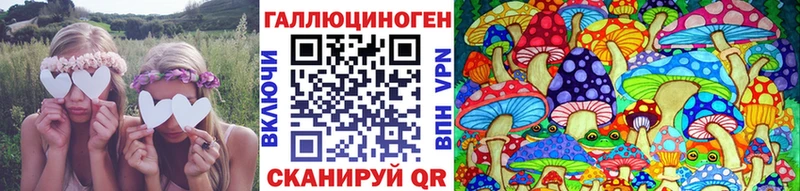 omg ONION Малая Вишера Псилоцибиновые грибы прущие грибы
